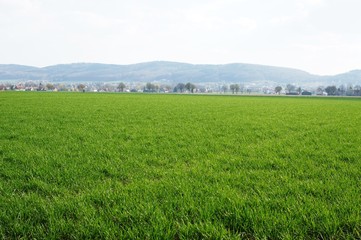 Wiehengebirge,landscape, field, sky, tree, nature, grass, spring, green, trees, meadow, blue, country, rural, countryside, road, summer, horizon, clouds, forest, agriculture, fog