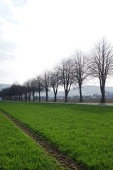 Wiehengebirge,landscape, field, sky, tree, nature, grass, spring, green, trees, meadow, blue, country, rural, countryside, road, summer, horizon, clouds, forest, agriculture, fog