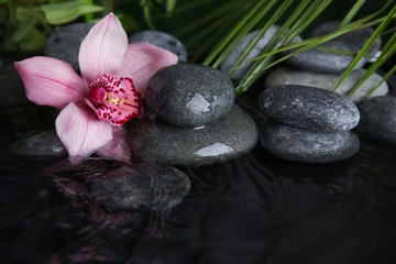 Fototapeta na wymiar Zen stones and beautiful exotic flower in water
