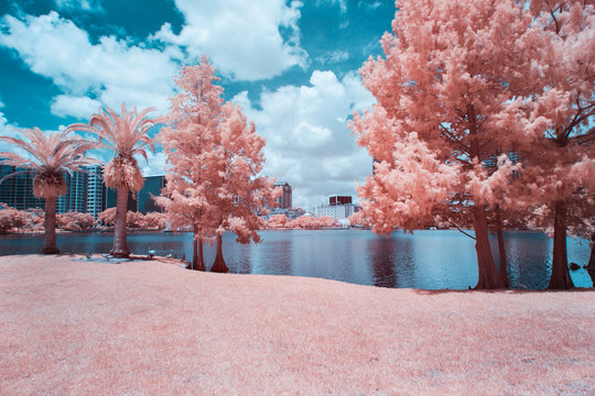 Lake Eola in Downtown Orlando, Florida