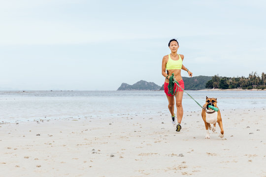 Morning jogging with the dog