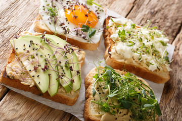 set of various toasts with hummus, avocado, feta cheese, microgreen and egg closeup. horizontal