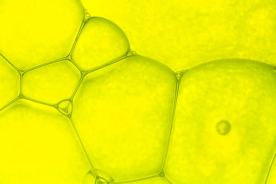 Abstract colorful soap bubbles