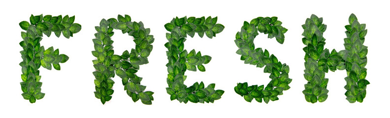 Fototapeta premium word fresh is collected from green leaves. Isolated on white background