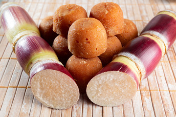 Sugarcane and sugarcane, panela and sugar cane derivatives