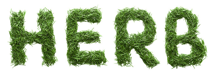 word herb is made from grass. Isolated on white background. Concept: design, title, text, nature