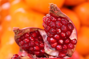 POMEGRANATE