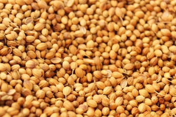spice