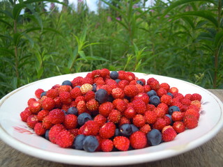fresh berries in summer