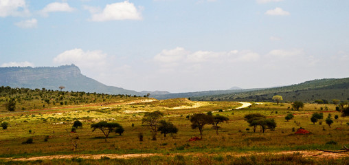 Fototapeta na wymiar African natural landscape, Kenya, Africa 
