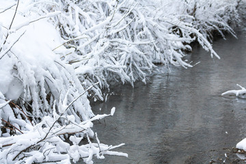 Winter snowy forest in December