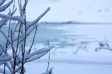 Winter snowy forest in December
