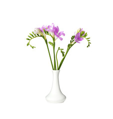 Naklejka na ściany i meble Bouquet of fresh freesia flowers in vase isolated on white