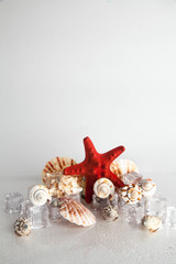 red starfish, seashell and marin decoration