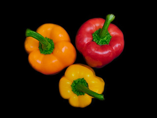 Vivid colorful shiny peppers on black background.