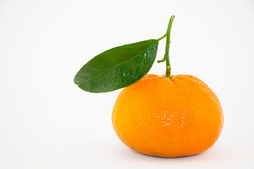 Mandarino su sfondo bianco