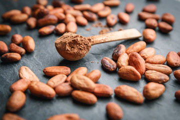 Cacao powder in a wooden spoon with cacao beans and chocolate on a dark background