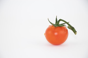 Un pomodorino su sfondo bianco