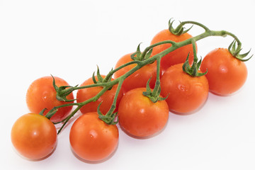 Grappolo di pomodoro