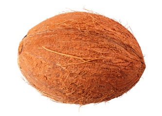 fresh coconut isolated on a white background