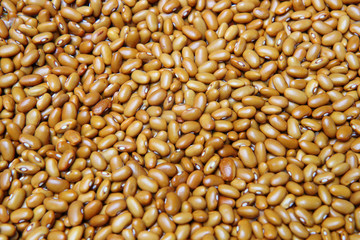 brown beans for food texture