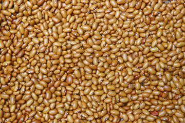 brown beans background