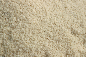 background of rice