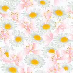 Spring flower sakura  and daisies natural background watercolor vintage vector illustration  editable hand draw