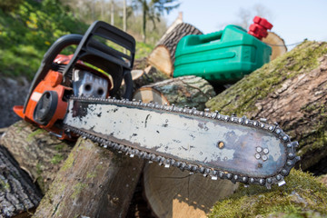 Tron&ccedil;onneuse th&eacute;rmique 