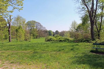 Paysage de printemps