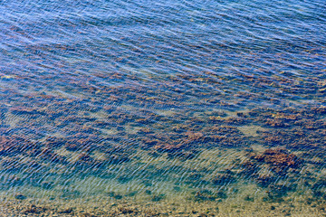 Sea ripples and clear water through which the seabed is visible with stones and algae