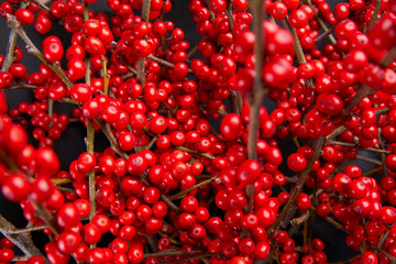 European Holly (Ilex) bouquet