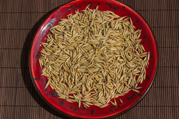 Oat grains on a red plate. Brown background. Top view