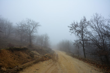Misty mountain in the morning