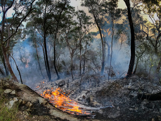 Organised Fire Service back burning to prevent bush fires in the mountains.