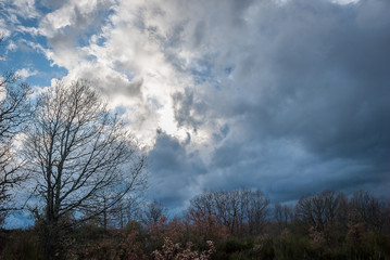 Obraz na płótnie Canvas .Sky with storm clouds