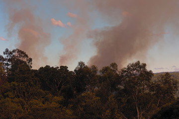 Organised Fire Service back burning to prevent bush fires in the mountains.