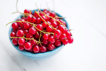 Juicy berries of red currant in a blue small bowl on a white wooden table, closeup, soft focus