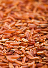 Fresh raw organic red rice on white background. Healthy food. Macro texture