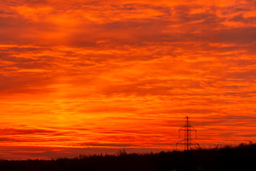 sunset over trees and electric traction