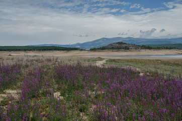 Swamp of Aguilar de Campoo in time of drought