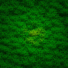 Grass background. Fresh lawn grass texture. Perfect green grass carpet.
