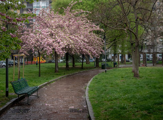 Milano park