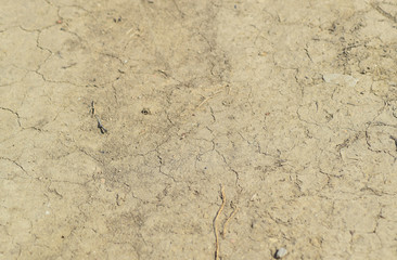 Fototapeta premium The soil on a dirt road