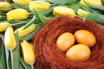 Naturalnie barwione jajka otoczone żółtymi tulipanami - obrazy, fototapety, plakaty