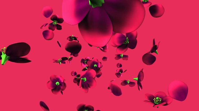 Purple flowers on purple background.3D render animation.