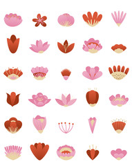 Set of vector flowers. Modern drawing of vector flowers in vibrant colors