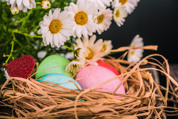 easter and colored eggs