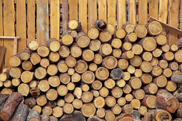 tree trunks stacked. cross section of the tree.