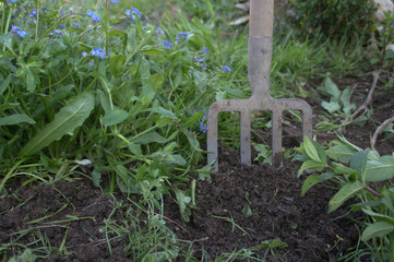 jardinage de printemps